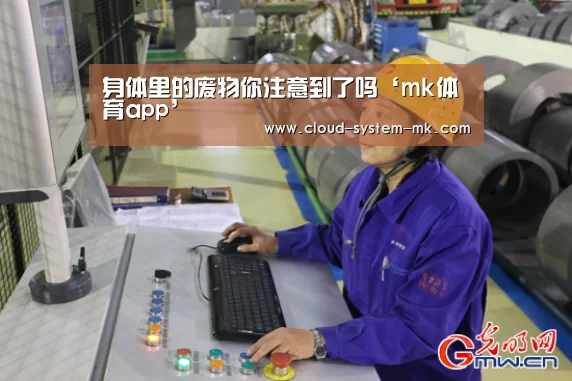 mk体育官网