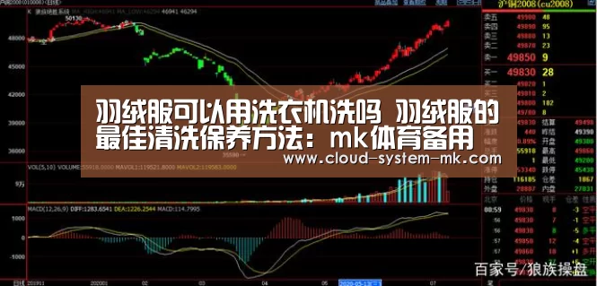 mk体育备用