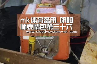 mk体育备用