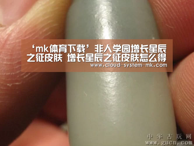 mk体育下载