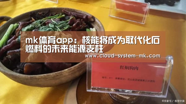 mk体育app：核能将成为取代化石燃料的未来能源支柱