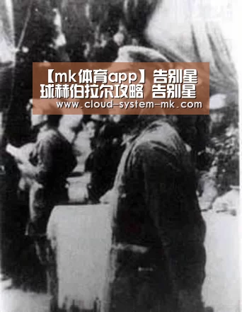 mk体育官网