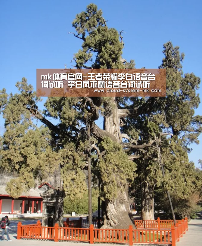 mk体育官网-王者荣耀李白语音台词试听 李白凤求凰语音台词试听(图3) mk体育下载