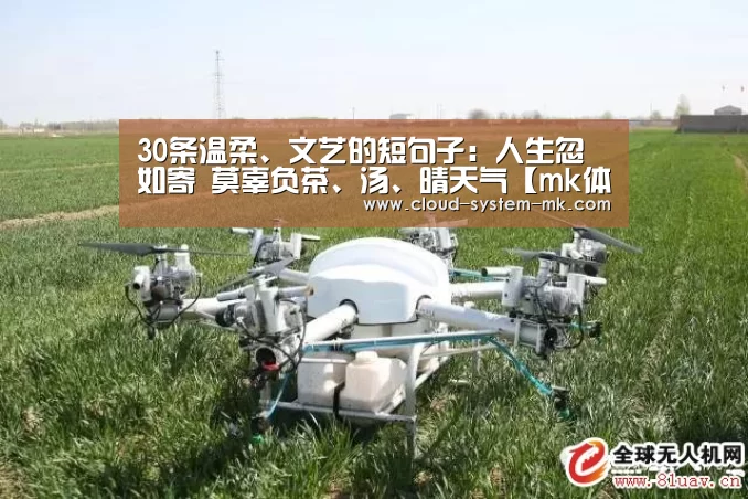 mk体育下载