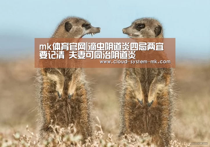 mk体育官网